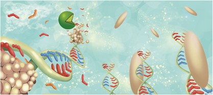 Metal nanoarchitecture fabrication using DNA as a biotemplate