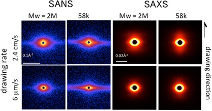 Role of molecular weight in shish-kebab formation during drawing by small-angle neutron and X-ray scattering