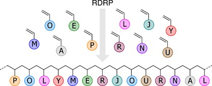 Sequence-controlled polymers via reversible-deactivation radical polymerization