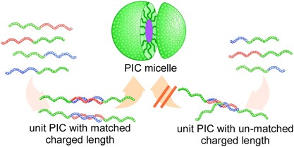 Polyion complex micelle formation from double-hydrophilic block copolymers composed of charged and non-charged segments in aqueous media