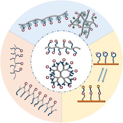 Antimicrobial cationic polymers: from structural design to functional control