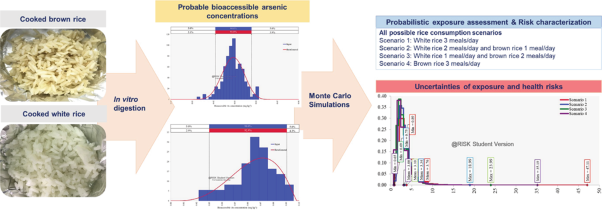 Uncertainty and sensitivity analyses of human health risk from bioaccessible arsenic exposure via rice ingestion in Bangkok, Thailand