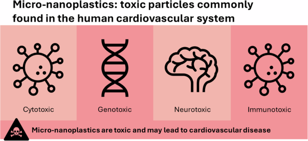 Micro-nanoplastic induced cardiovascular disease and dysfunction: a scoping review