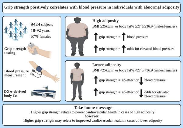 Grip strength positively correlates with blood pressure in individuals with abnormal adiposity