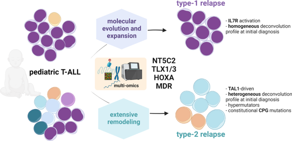 Pediatric T-ALL type-1 and type-2 relapses develop along distinct pathways of clonal evolution
