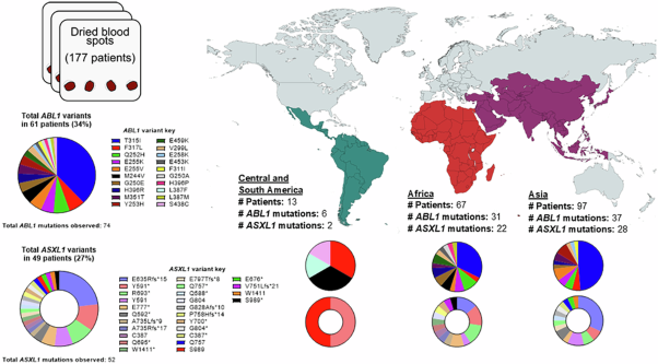 Next-generation sequencing from chronic myeloid leukemia dried blood spots: insights and implications for global oncology