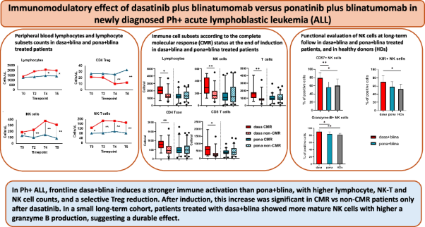 Immunomodulatory effect of dasatinib plus blinatumomab versus ponatinib plus blinatumomab in newly diagnosed Ph+ acute lymphoblastic leukemia