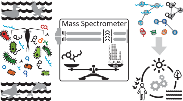 Progress and challenges in exploring aquatic microbial communities using non-targeted metabolomics