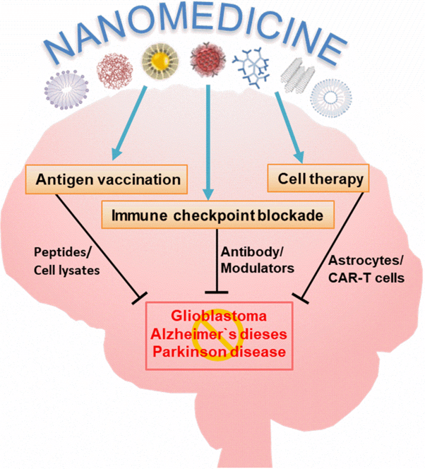 Nanomedicine-based immunotherapy for central nervous system disorders