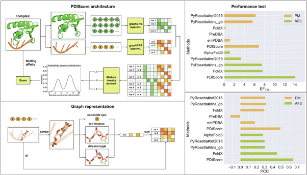 Graph-based deep learning approach for high-throughput protein-DNA interaction scoring