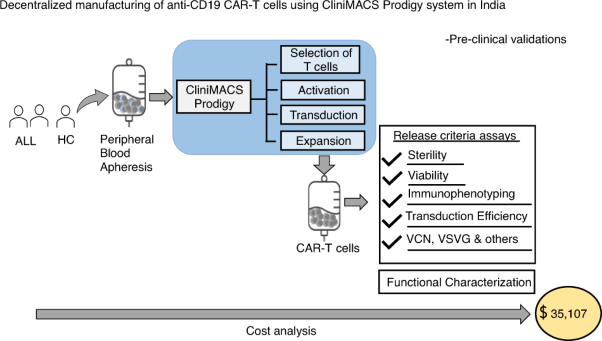 Decentralized manufacturing of anti CD19 CAR-T cells using CliniMACS Prodigy®: real-world experience and cost analysis in India