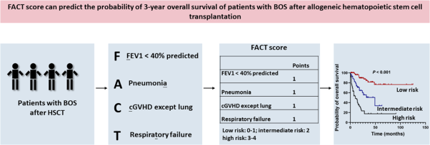 Clinical risk factors and prognostic model for patients with bronchiolitis obliterans syndrome after hematopoietic stem cell transplantation