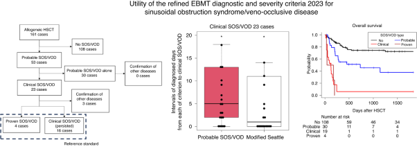 Utility of the refined EBMT diagnostic and severity criteria 2023 for sinusoidal obstruction syndrome/veno-occlusive disease