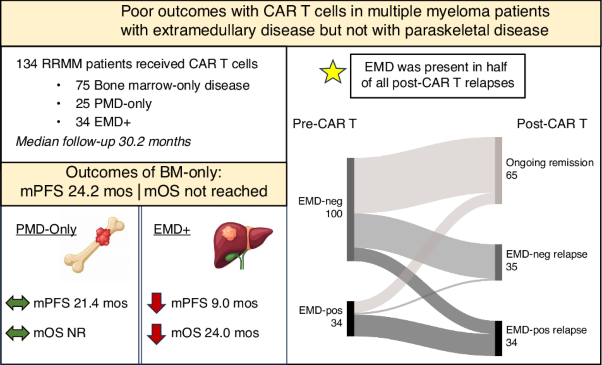 Extramedullary disease but not paraskeletal disease portends inferior outcomes after CAR T cell therapy in multiple myeloma