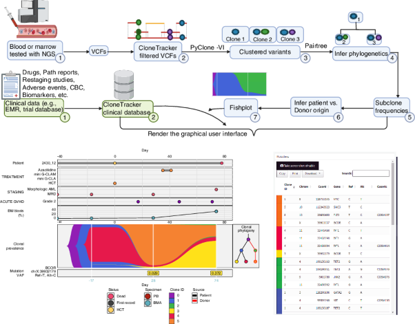 A clinical solution for tracking clonal evolution of acute myeloid leukemia after allogeneic transplantation using bulk next generation sequencing