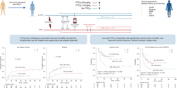 Low-dose post-transplant cyclophosphamide in combination with low-dose alemtuzumab for graft-versus-host-disease prevention in mismatched unrelated allogeneic stem cell transplantation is associated with improved outcomes and reduced toxicity