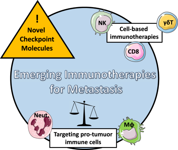 Emerging immunotherapies for metastasis