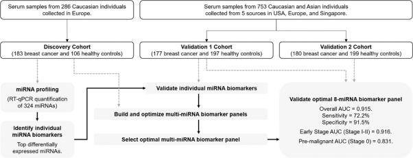 Development and validation of a circulating microRNA panel for the early detection of breast cancer