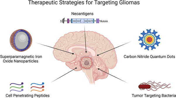 Emerging nanomedical strategies for direct targeting of pediatric and adult diffuse gliomas