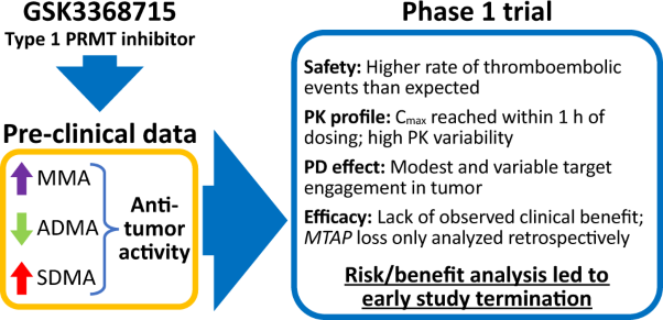 Phase 1 study of GSK3368715, a type I PRMT inhibitor, in patients with advanced solid tumors