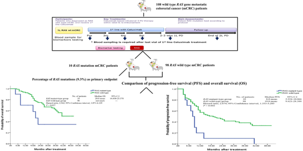 The emergence of <i>RAS</i> mutations in patients with <i>RAS</i> wild-type mCRC receiving cetuximab as first-line treatment: a noninterventional, uncontrolled multicenter study