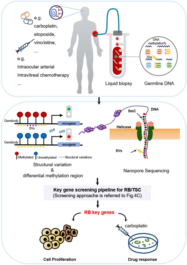 Comparative study on genomic and epigenomic profiles of retinoblastoma or tuberous sclerosis complex via nanopore sequencing and a joint screening framework