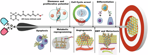 Pleiotropic effects of all-trans retinoic acid in attenuating the hallmarks of colorectal cancer- challenges and scope of differentiation therapy