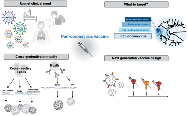 In search of a pan-coronavirus vaccine: next-generation vaccine design and immune mechanisms