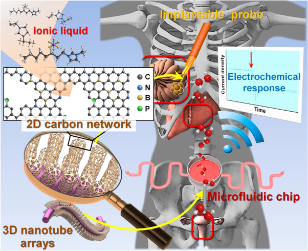 2D carbon network arranged into high-order 3D nanotube arrays on a flexible microelectrode: integration into electrochemical microbiosensor devices for cancer detection