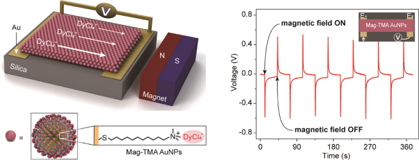 A nanogenerator based on metal nanoparticles and magnetic ionic gradients
