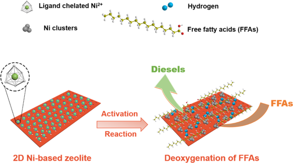 Toward the production of renewable diesel over robust Ni nanoclusters highly dispersed on a two-dimensional zeolite