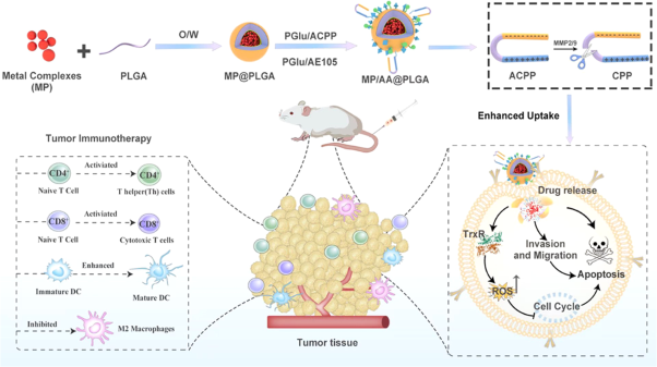 Tumor microenvironment-responsive metal nanotherapeutics for breast cancer chemo-/immunotherapy