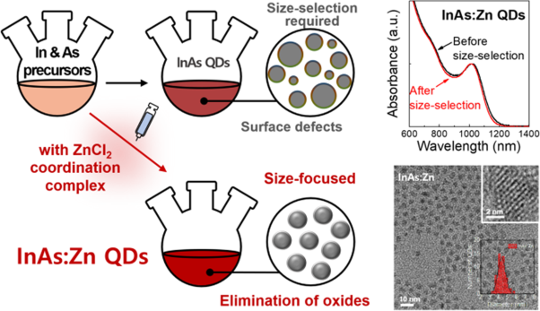 Chemically and electronically active metal ions on InAs quantum dots for infrared detectors
