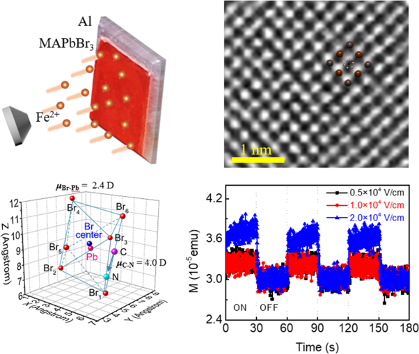 Octahedron distortion-triggered dipole–spin interaction in multiferroic magnetoelectric perovskites