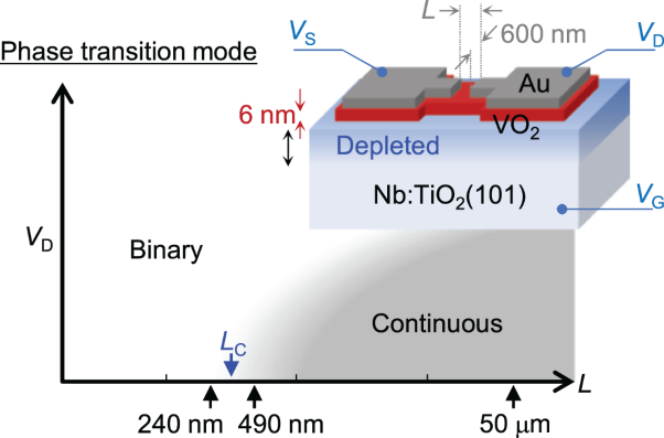 Zero-dimensionality of a scaled-down VO<sub>2</sub> metal-insulator transition via high-resolution electrostatic gating