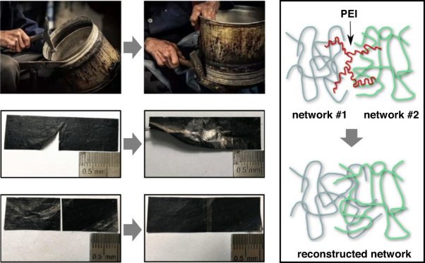 Viscoelastic, ductile and repairable carbon nanotube films formed with CNT/PEI double networks containing branched polyethylenimine