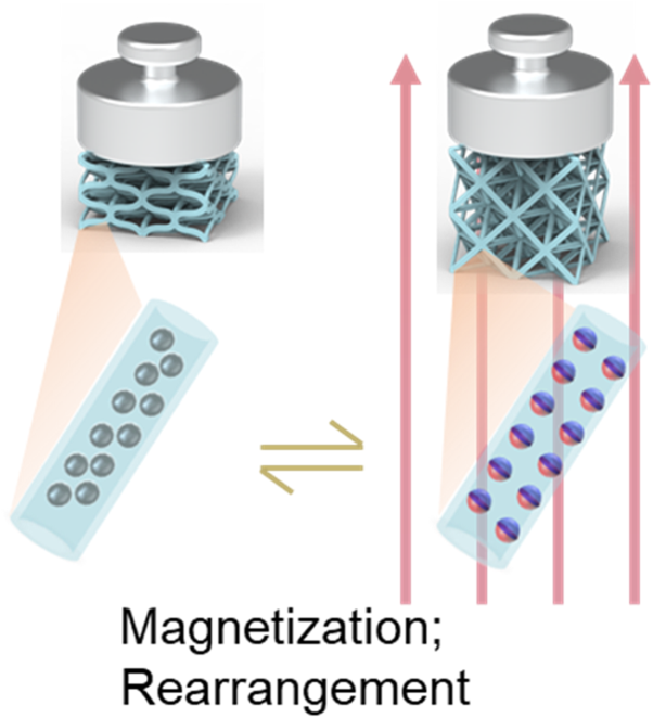 Magnetoactive microlattice metamaterials with highly tunable stiffness and fast response rate