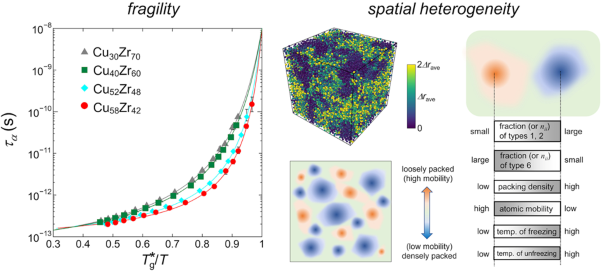Atomistic study of liquid fragility and spatial heterogeneity of glassy solids in model binary alloys