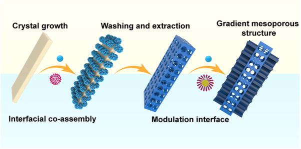 Interfacial co-assembly strategy towards gradient mesoporous hollow sheet for molecule filtration