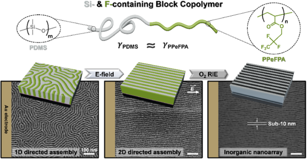 Two-dimensional directed lamellar assembly in silicon- and fluorine-containing block copolymer with identical surface energies