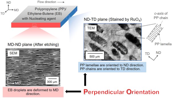 Perpendicular orientation between dispersed rubber and polypropylene molecules in an oriented sheet