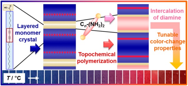 Emergence of temperature-dependent and reversible color-changing properties by the stabilization of layered polydiacetylene through intercalation