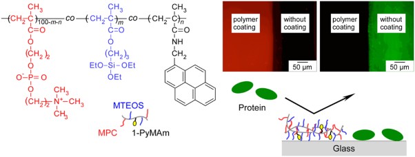 Polymer coating glass to improve the protein antifouling effect