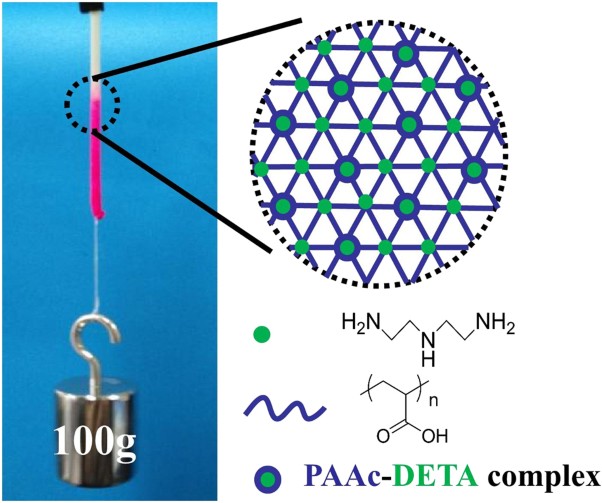 Multiamine-induced self-healing poly (Acrylic Acid) hydrogels with shape memory behavior