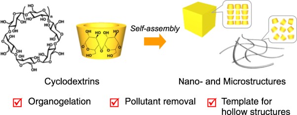 Preparation of nano- and microstructures through molecular assembly of cyclic oligosaccharides