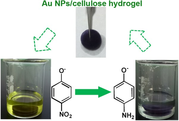 In situ synthesis of easily separable Au nanoparticles catalysts based on cellulose hydrogels
