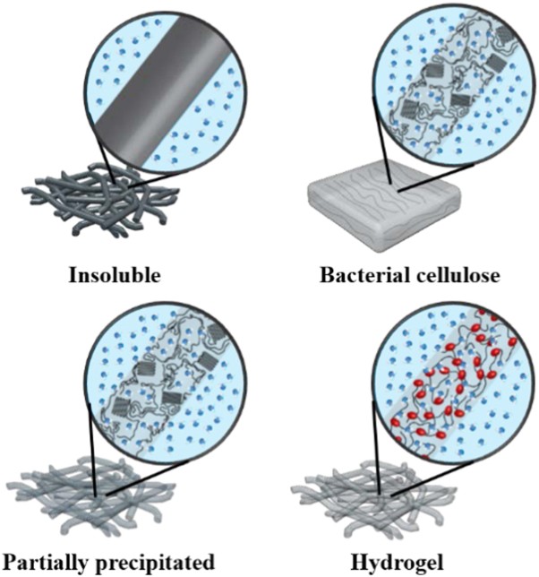 Water-insoluble, nanocrystalline, and hydrogel fibrillar scaffolds for biomedical applications