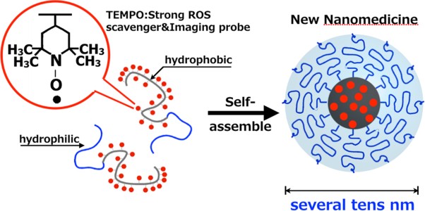 Design and application of redox polymers for nanomedicine