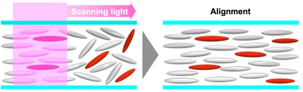 Unpolarized light-induced alignment of azobenzene by scanning wave photopolymerization