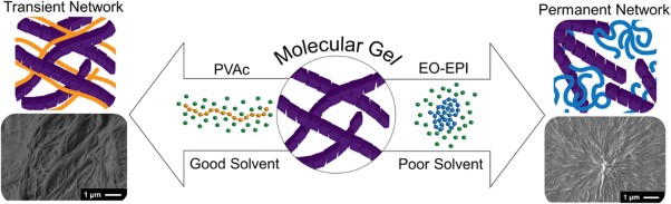 Nucleation effects of high molecular weight polymer additives on low molecular weight gels